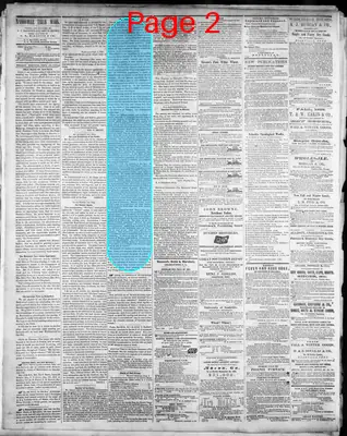 Page thumbnail for The Daily Nashville True Whig
