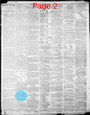 Page thumbnail for The Daily Nashville True Whig