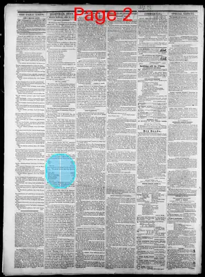 Page thumbnail for Nashville Union