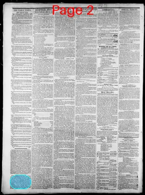 Page thumbnail for Nashville Union