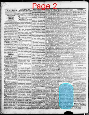 Page thumbnail for The Mountain Sentinel