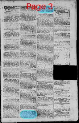 Page thumbnail for Fincastle Mirror