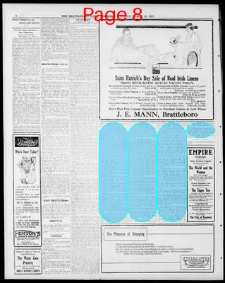 Page thumbnail for The Brattleboro Daily Reformer