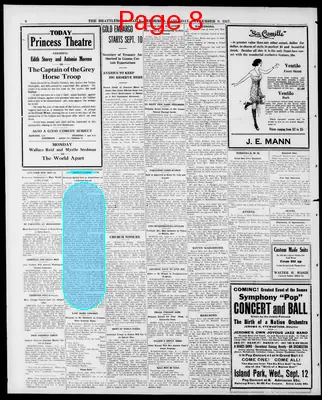 Page thumbnail for The Brattleboro Daily Reformer