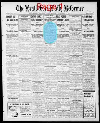 Page thumbnail for The Brattleboro Daily Reformer