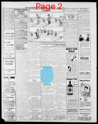 Page thumbnail for The Brattleboro Daily Reformer