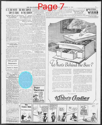 Page thumbnail for The Brattleboro Daily Reformer