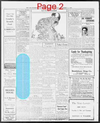 Page thumbnail for The Brattleboro Daily Reformer