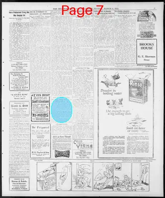 Page thumbnail for The Brattleboro Daily Reformer