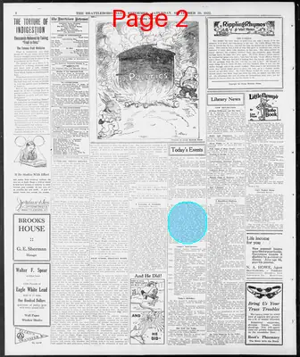 Page thumbnail for The Brattleboro Daily Reformer