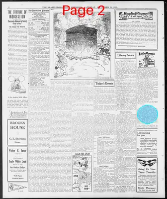 Page thumbnail for The Brattleboro Daily Reformer
