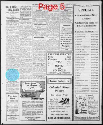 Page thumbnail for The Brattleboro Daily Reformer