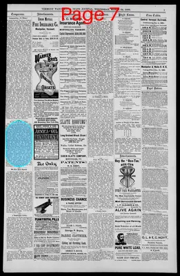 Page thumbnail for The Vermont Watchman