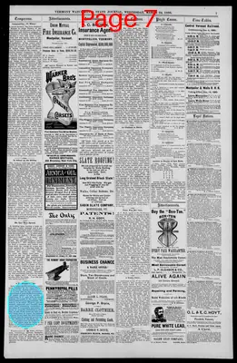 Page thumbnail for The Vermont Watchman