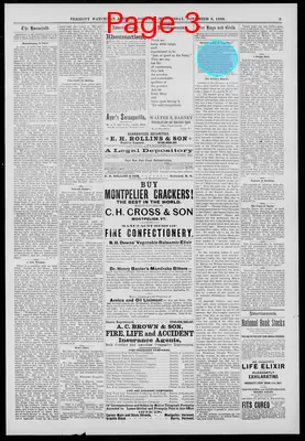 Page thumbnail for The Vermont Watchman