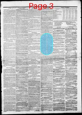 Page thumbnail for Daily Richmond Whig
