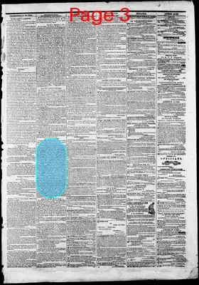 Page thumbnail for Daily Richmond Whig
