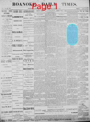 Page thumbnail for The Roanoke Times