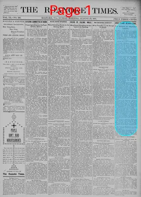 Page thumbnail for The Roanoke Times