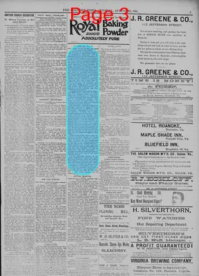 Page thumbnail for The Roanoke Times