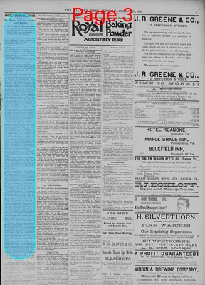 Page thumbnail for The Roanoke Times