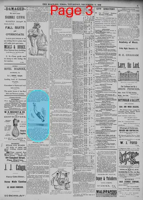 Page thumbnail for The Roanoke Times
