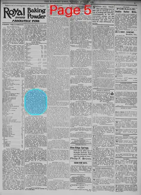 Page thumbnail for The Roanoke Times