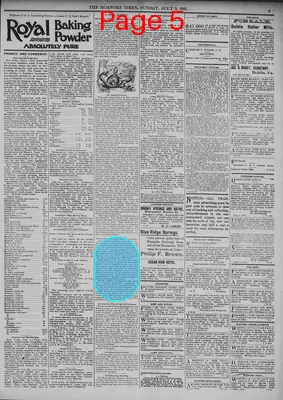 Page thumbnail for The Roanoke Times