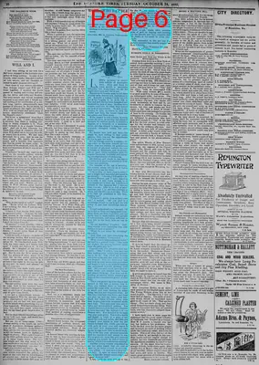 Page thumbnail for The Roanoke Times