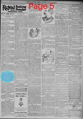 Page thumbnail for The Roanoke Times