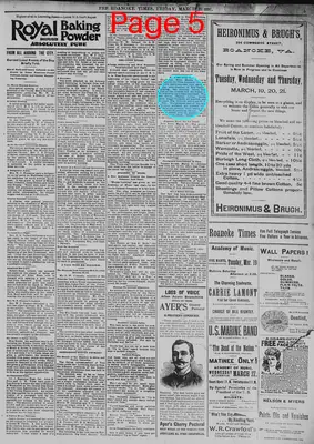 Page thumbnail for The Roanoke Times