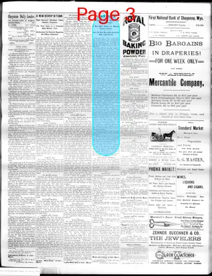 Page thumbnail for The Cheyenne Daily Leader