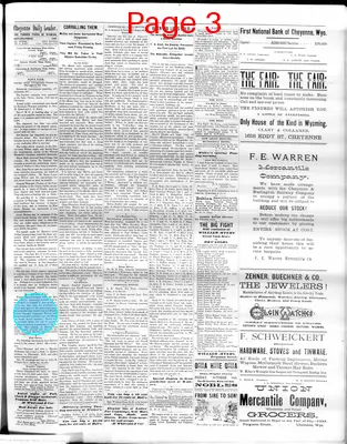 Page thumbnail for The Cheyenne Daily Leader