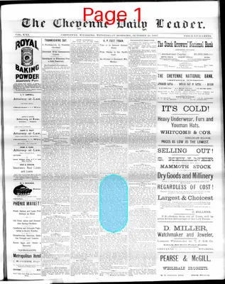 Page thumbnail for The Cheyenne Daily Leader