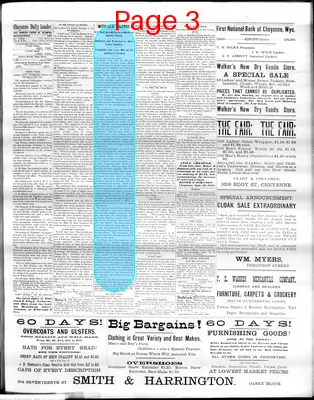 Page thumbnail for The Cheyenne Daily Leader