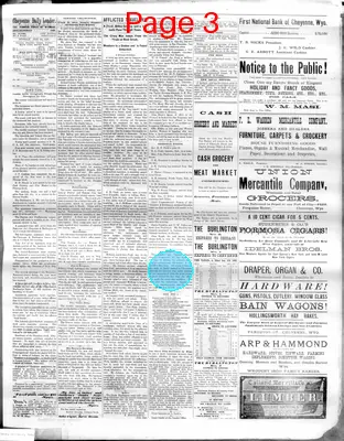 Page thumbnail for The Cheyenne Daily Leader