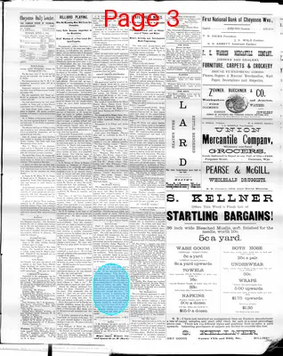 Page thumbnail for The Cheyenne Daily Leader