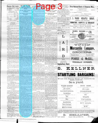 Page thumbnail for The Cheyenne Daily Leader