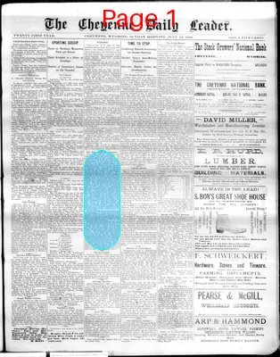 Page thumbnail for The Cheyenne Daily Leader