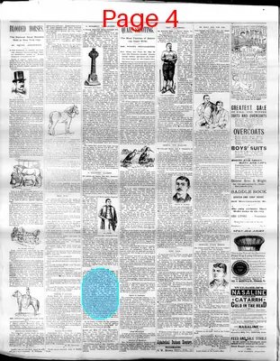 Page thumbnail for The Cheyenne Daily Leader