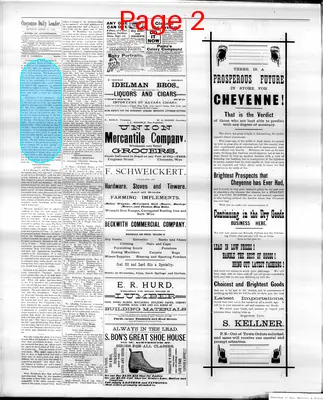 Page thumbnail for The Cheyenne Daily Leader