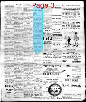 Page thumbnail for The Cheyenne Daily Leader