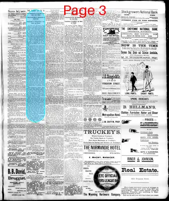 Page thumbnail for The Cheyenne Daily Leader