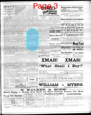 Page thumbnail for The Cheyenne Daily Leader
