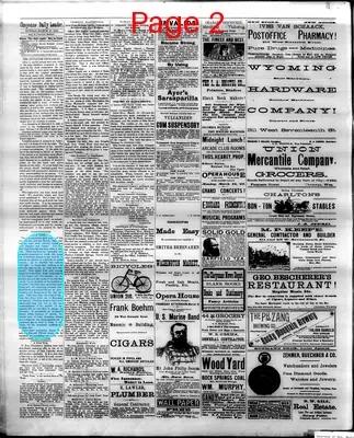 Page thumbnail for The Cheyenne Daily Leader