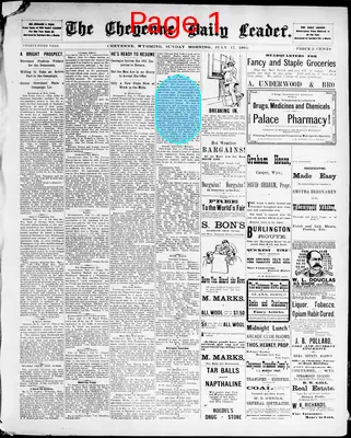 Page thumbnail for The Cheyenne Daily Leader