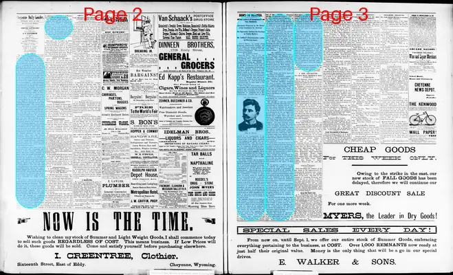 Page thumbnail for The Cheyenne Daily Leader