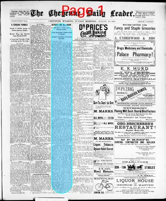 Page thumbnail for The Cheyenne Daily Leader