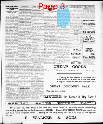 Page thumbnail for The Cheyenne Daily Leader