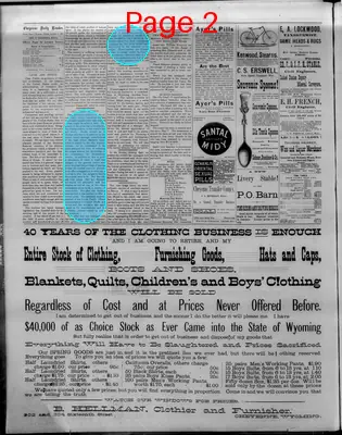 Page thumbnail for The Cheyenne Daily Leader